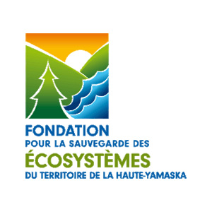 Fondation sethy