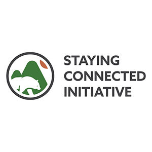 Staying connected initiative
